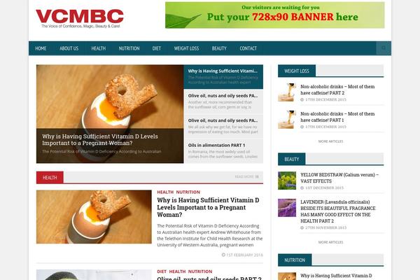 NovoMag theme site design template sample
