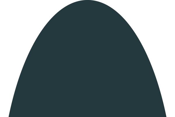 Site using Recent Tweets Widget plugin