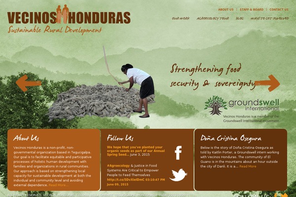 Divi theme site design template sample