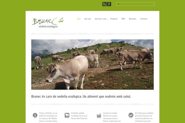 Site using CookiesControl (Spanish legislation) plugin