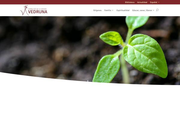 Site using Brainblog plugin