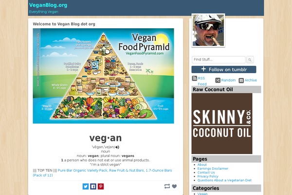 Covertviralwizard theme site design template sample