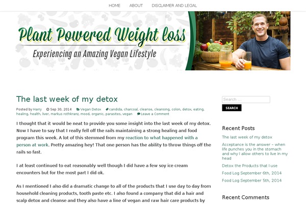 Birch theme site design template sample