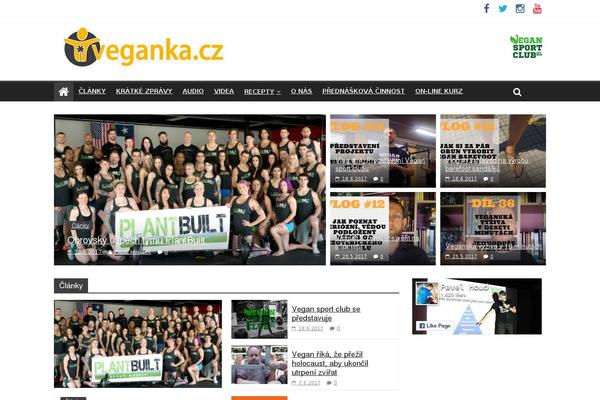 ColorMag theme site design template sample