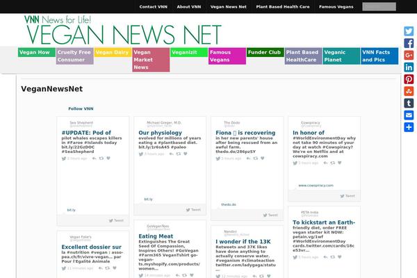 Xin Magazine theme site design template sample