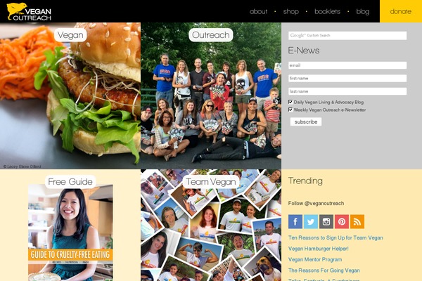 Site using WP Google Search plugin