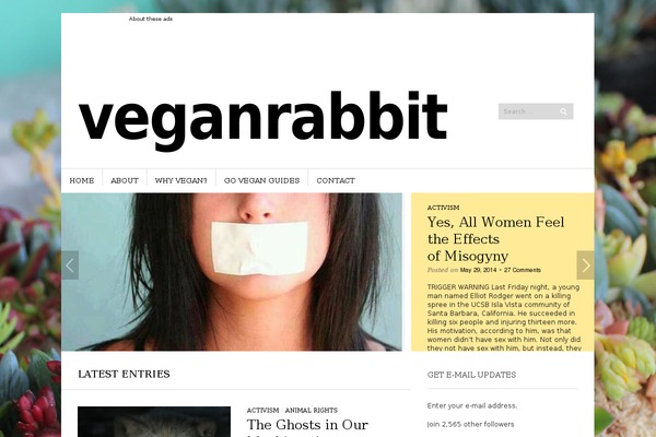 Site using Simplemag-addons plugin
