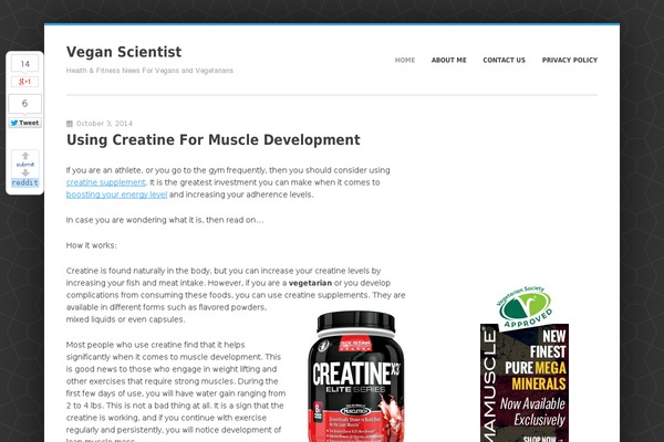 Enterprise Lite theme site design template sample