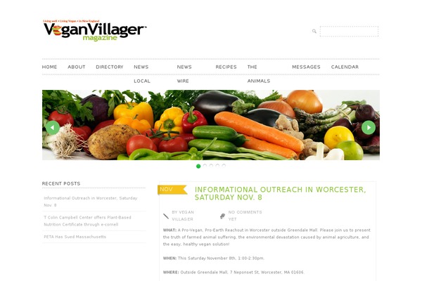 Lugada theme site design template sample