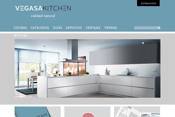 vegasa.com site used Vegasa