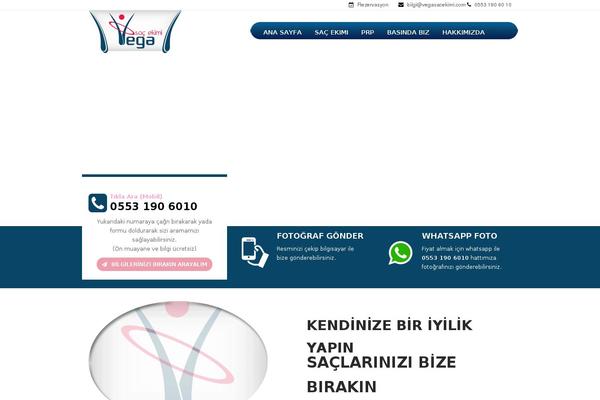 zerius theme websites examples