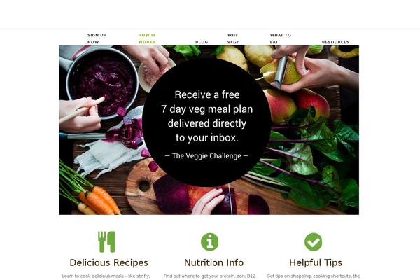 Website theme site design template sample
