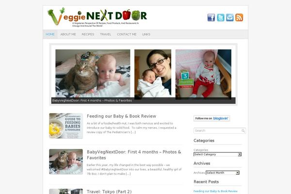 Fresh & Clean theme site design template sample