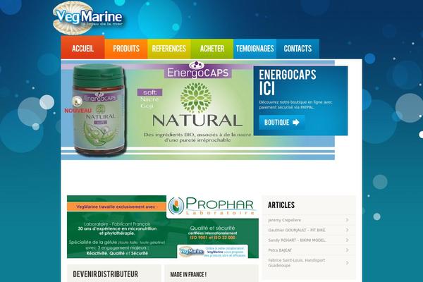 vegmarine.fr site used Theme1336