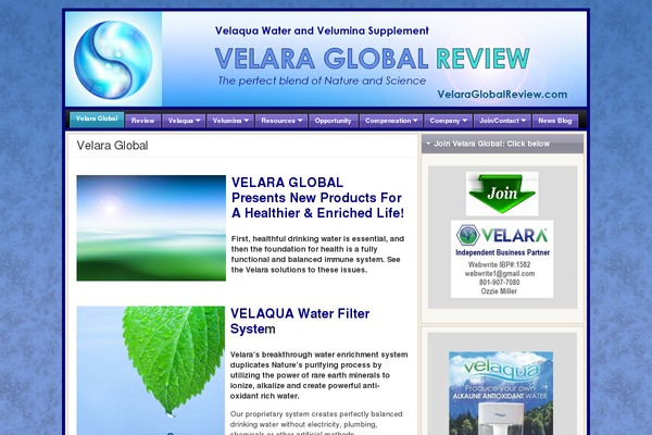 FlexSqueeze theme site design template sample