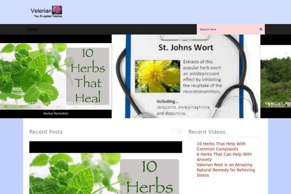 P1-video-magnet theme site design template sample