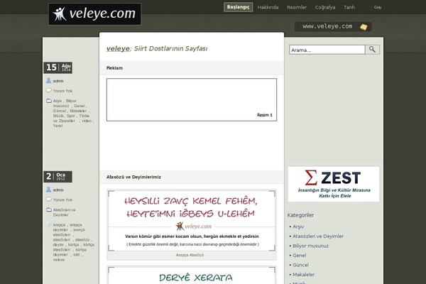 Site using Flash Video Player plugin