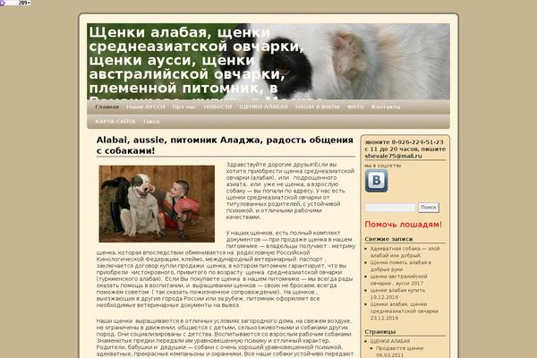 Site using Wp-yandex-metrika plugin