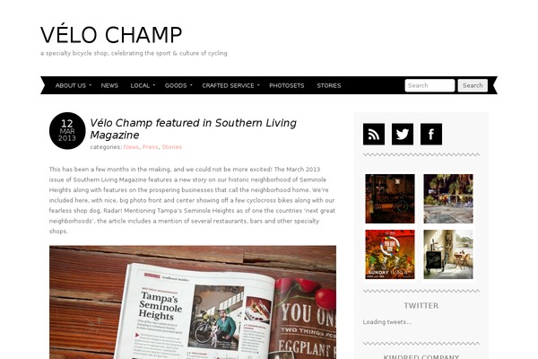Adelle theme site design template sample