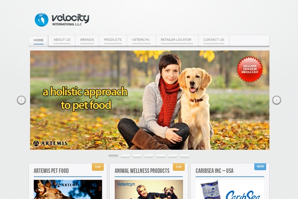Balance theme site design template sample