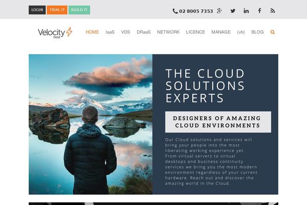 Capture theme site design template sample