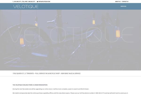 Big Point theme site design template sample