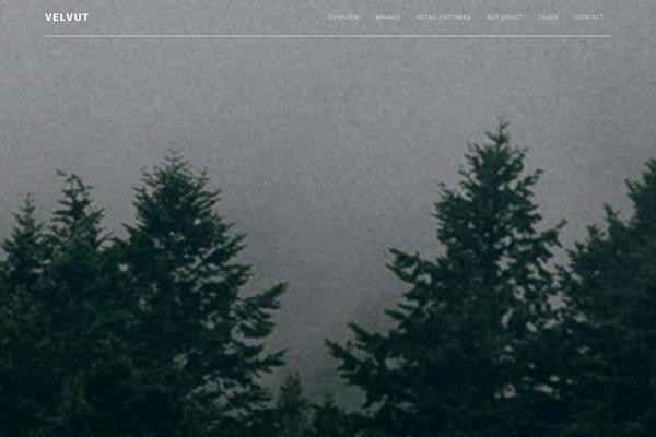 Altitude Pro theme site design template sample