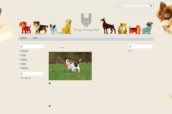 Soledad-child theme site design template sample