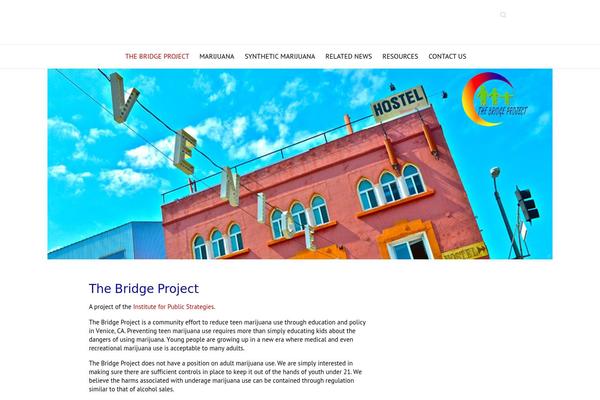 Attitude Pro theme site design template sample