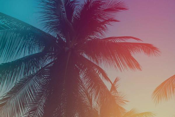 vcc theme websites examples