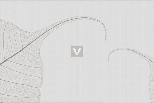Site using Font plugin