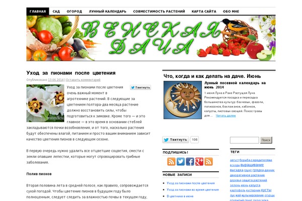 Emmet theme site design template sample