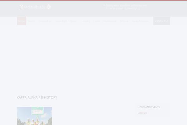 Candidate theme site design template sample