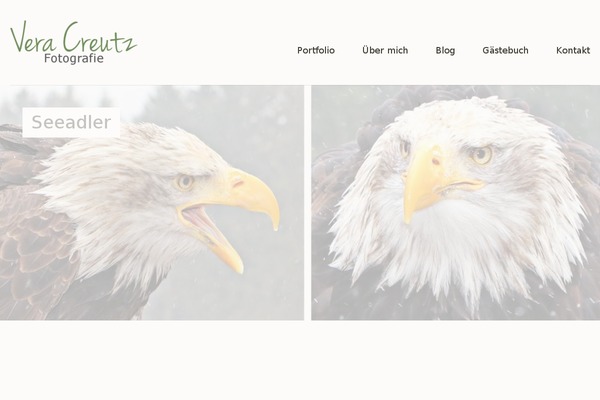 Baylys theme site design template sample