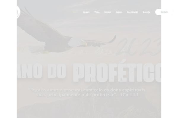 Nazareth theme site design template sample