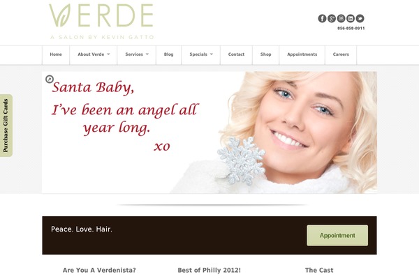 Akita theme site design template sample