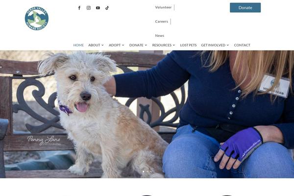 Site using Divi-essential plugin
