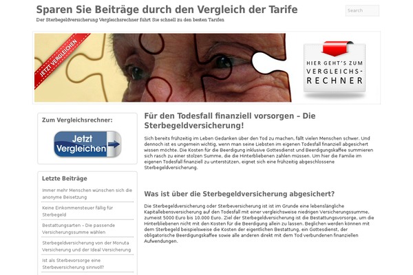 blv-wp theme websites examples