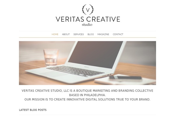 Skyfashion theme site design template sample