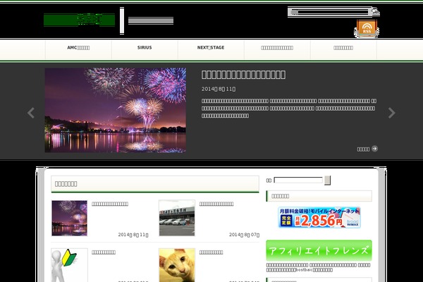 Info_custom theme site design template sample