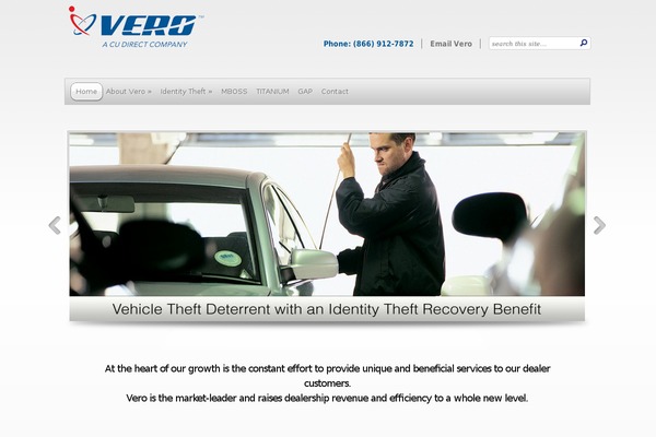 TheProfessional theme site design template sample