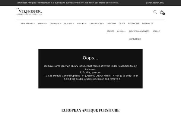 Schon theme site design template sample