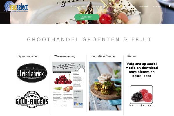 Foundry theme site design template sample