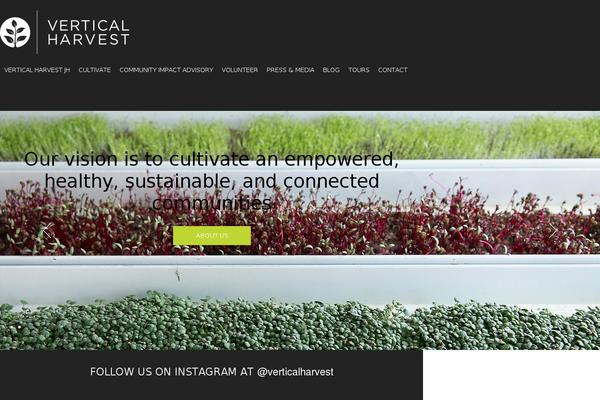 Enfold theme site design template sample