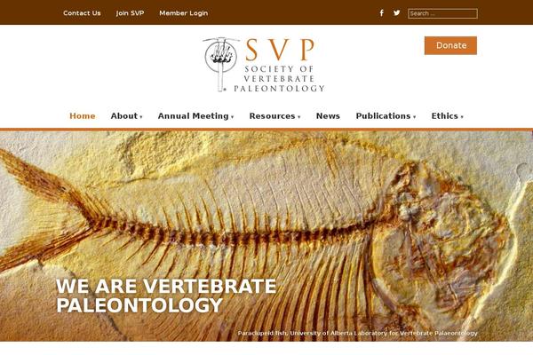 BUILDER theme site design template sample