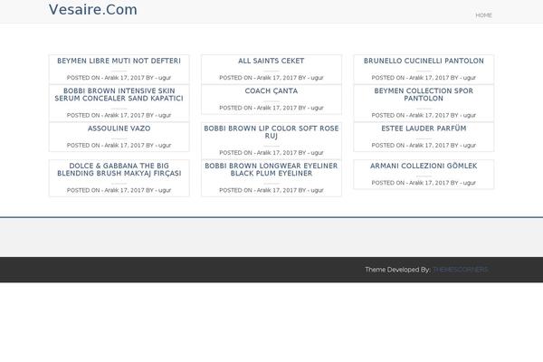 iPin theme site design template sample