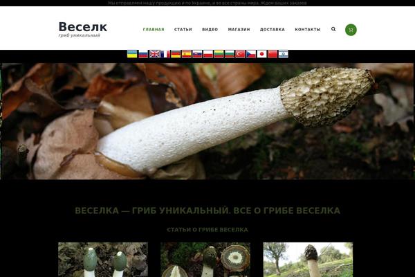 Site using WooCommerce - Embed Videos To Product Image Gallery plugin