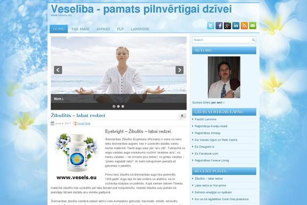 Healthfitness theme site design template sample