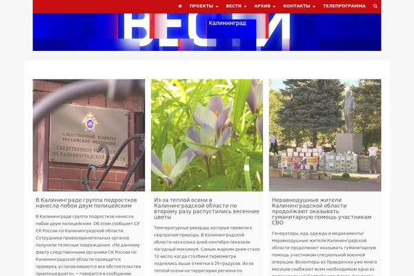 New theme site design template sample