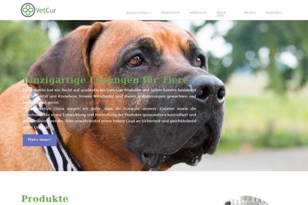 Site using Brizy-pro plugin